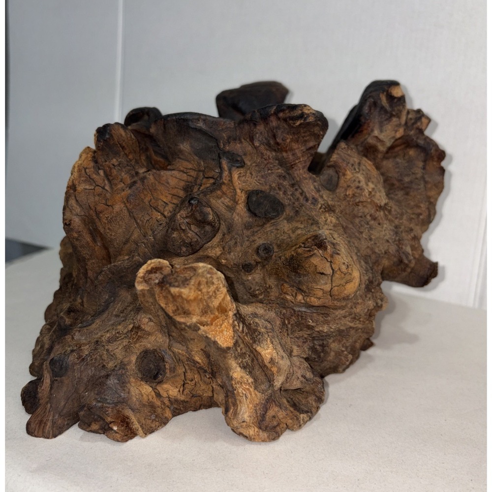 Vintage Burl Wood/Rootwood Display Stand- Plant/Carving /. Artisan Crafted